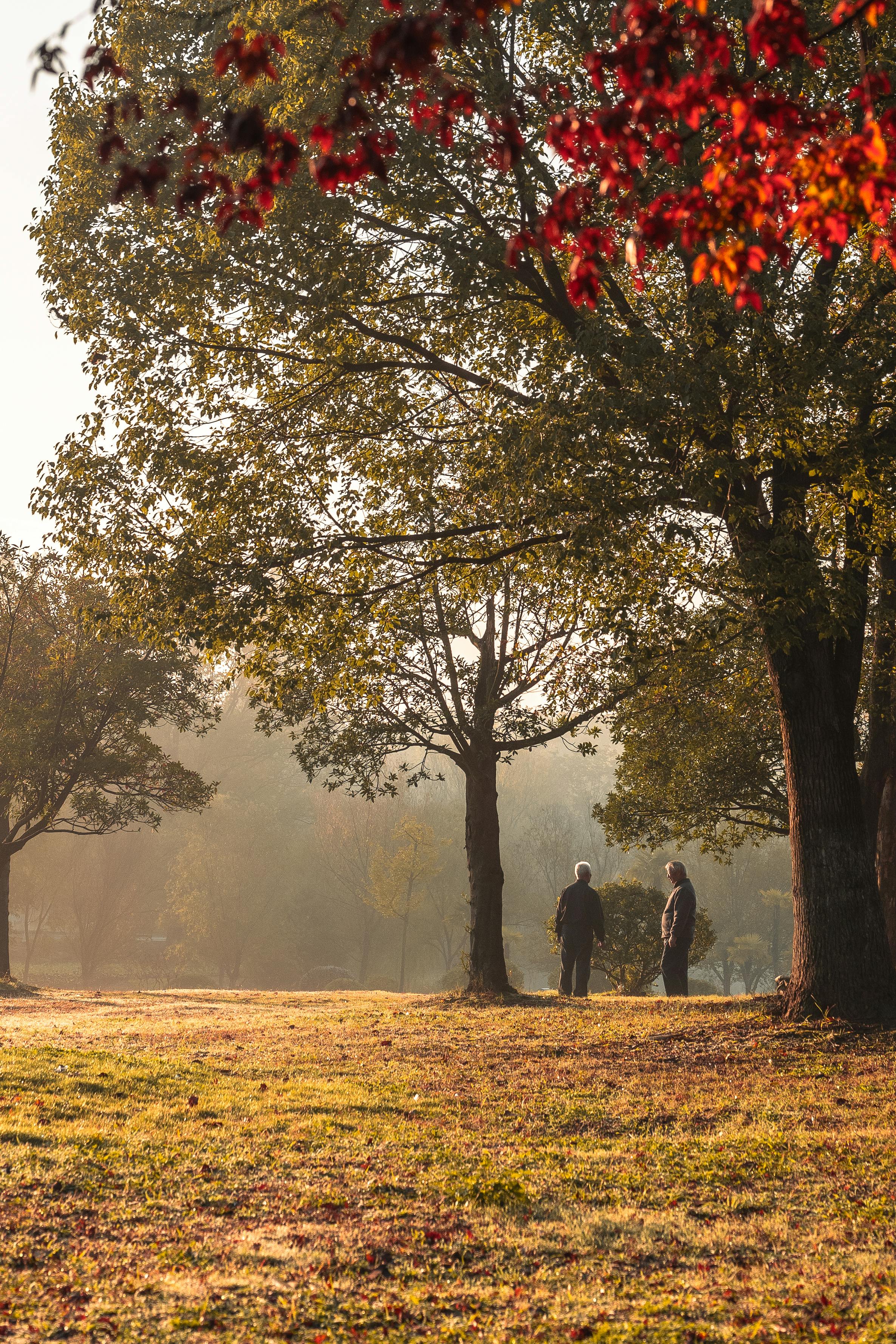 前10个月东莞市外贸进出口总值达1.3万亿元-环球趣闻