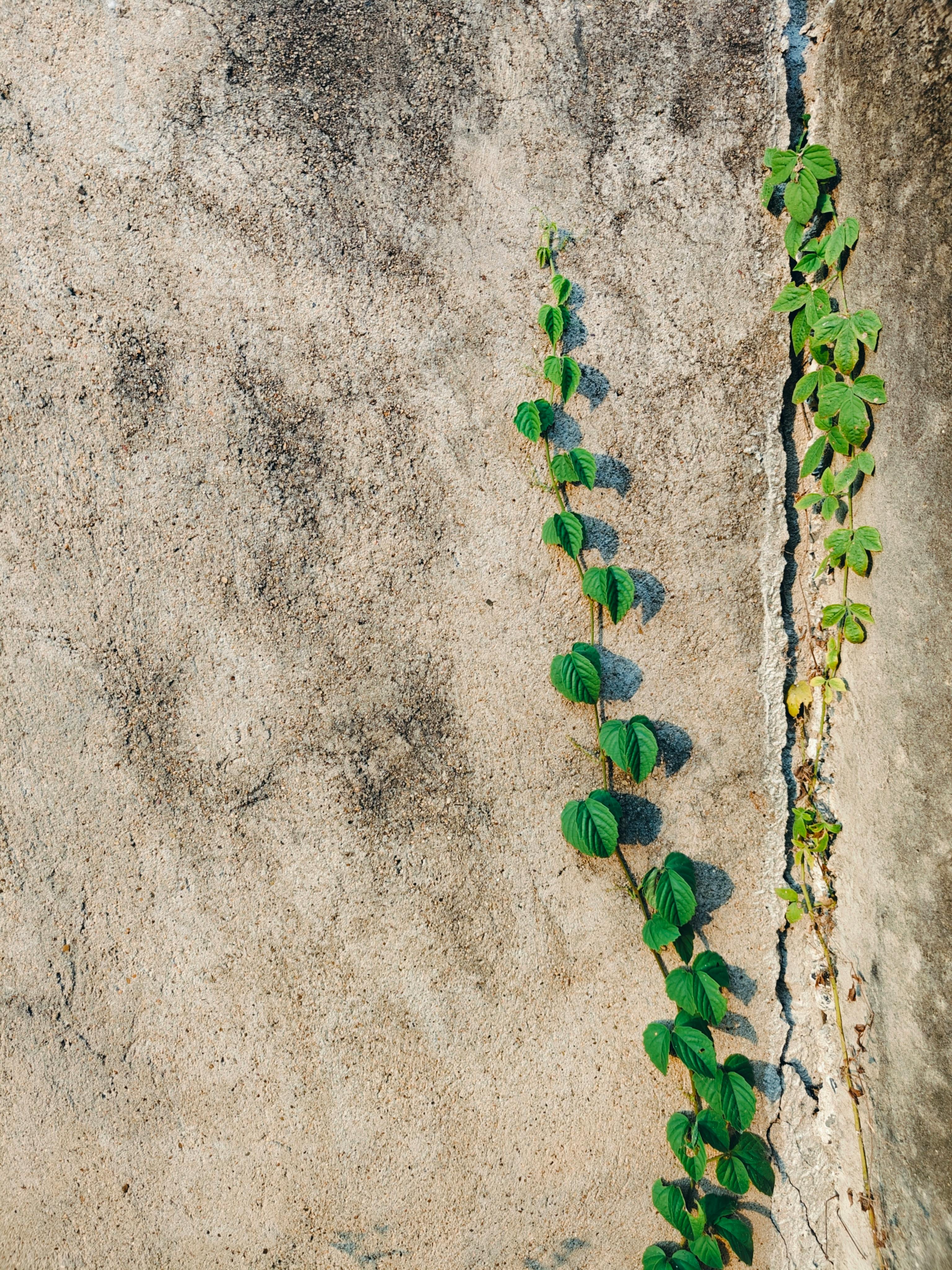 中基协：10月ABS新增备案规模逾1300亿元-环球趣闻