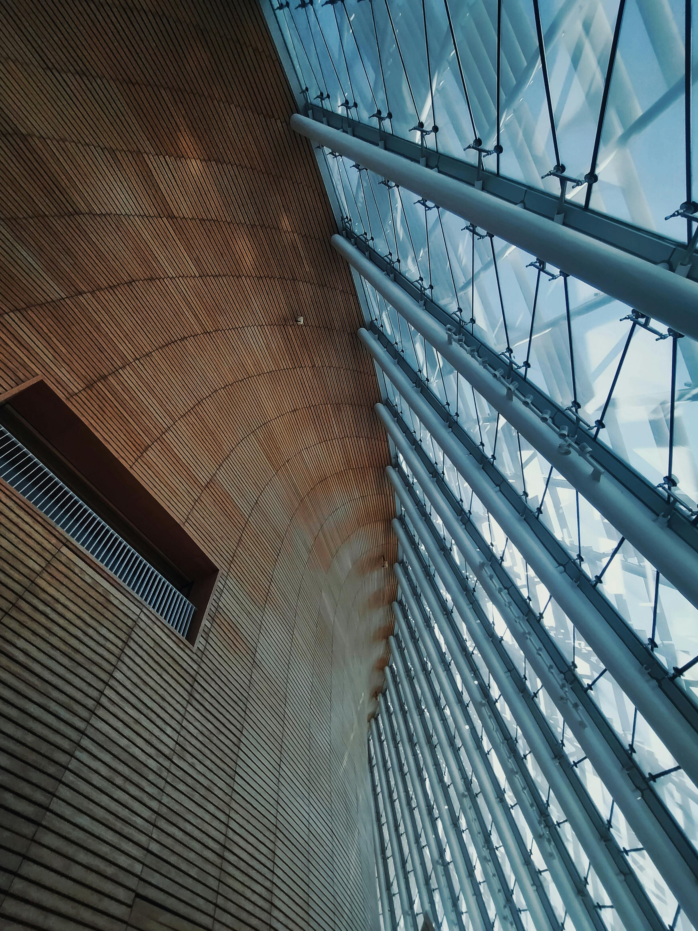 展现数千年传统“纹”化 中国古代纹饰和纹样展苏州开展-环球趣闻