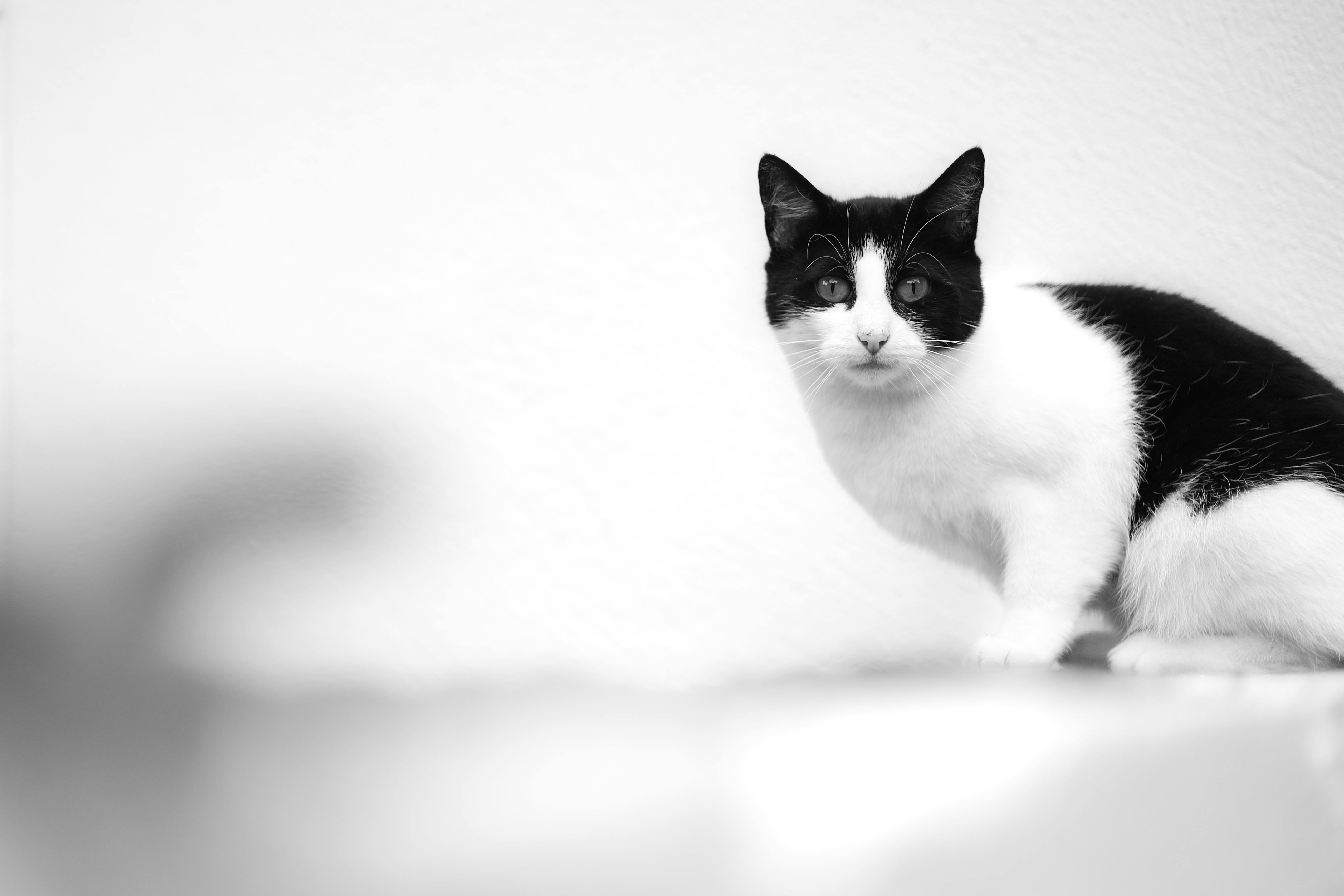 2025电商榜单价值及影响力洞察报告-环球趣闻