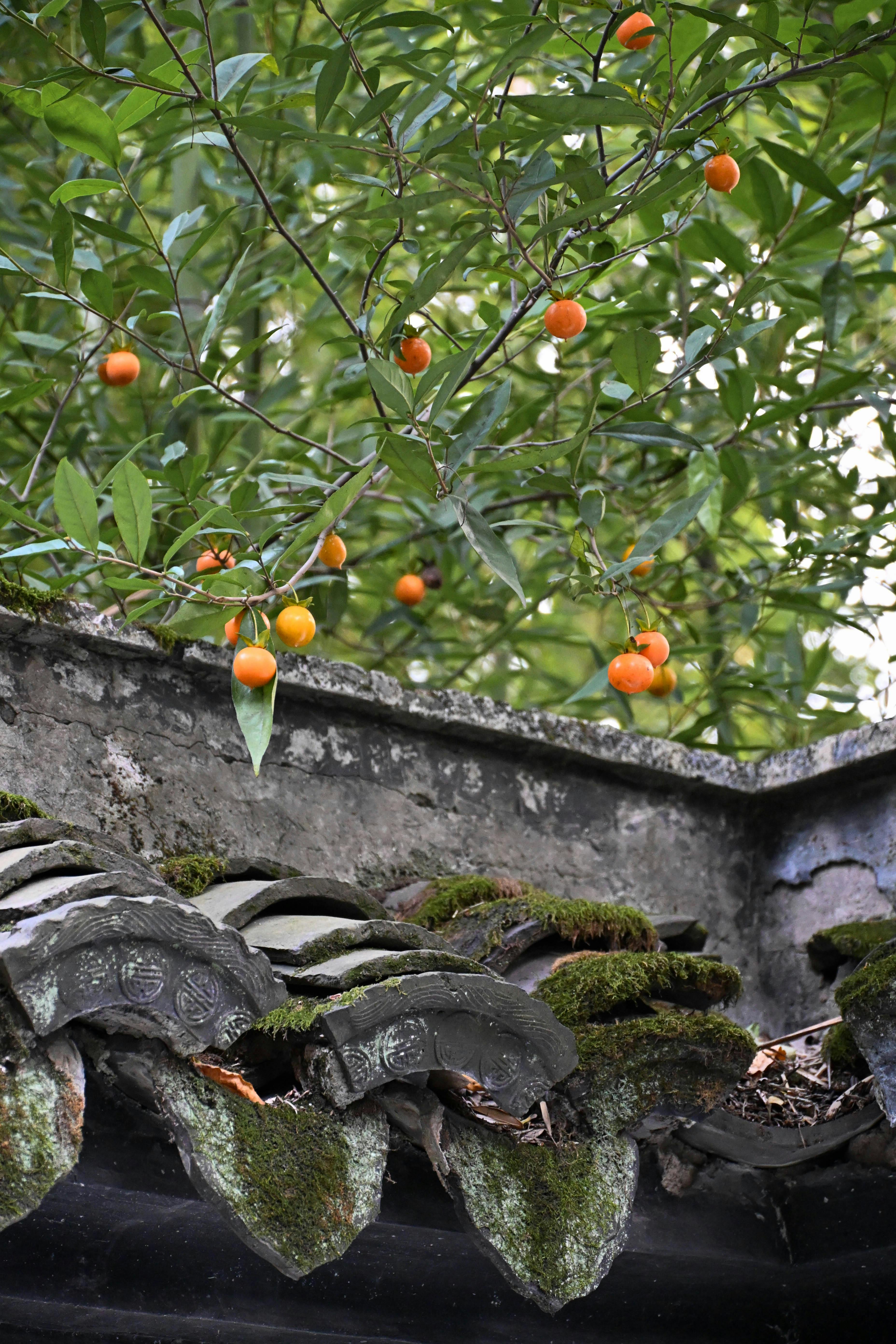 冬季干燥常被“电”？警惕静电背后的安全隐患-环球趣闻